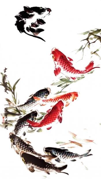 淡水鱼图片 _ 第(8)张