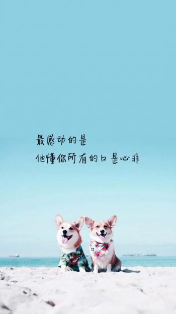 文字控图片 _ 第(7)张