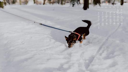 雪景图片 _ 第(1)张