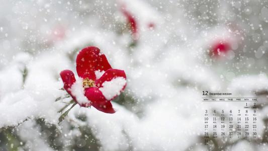 雪景图片 _ 第(2)张