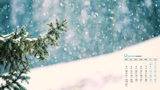 雪景图片 _ 第(4)张