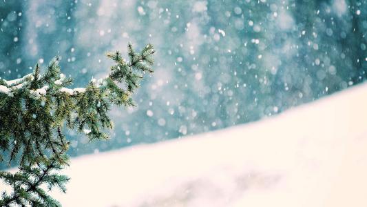 雪景图片 _ 第(4)张