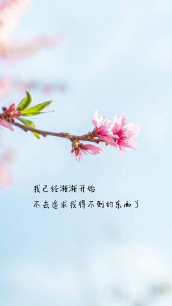 文字控图片 _ 第(8)张