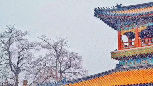 雪景图片 _ 第(4)张