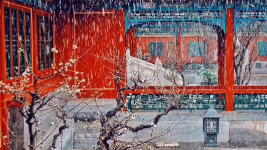 雪景图片 _ 第(5)张