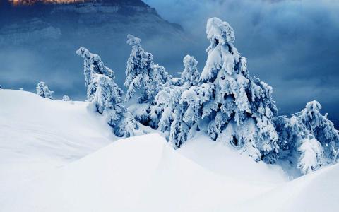 雪景图片 _ 第(3)张