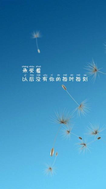 清新文字控文艺风手机壁纸第0张