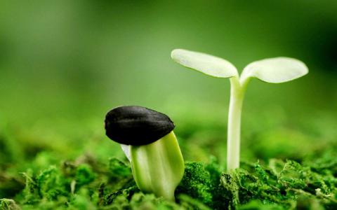 图片 _ 第(6)张