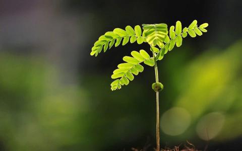 图片 _ 第(7)张
