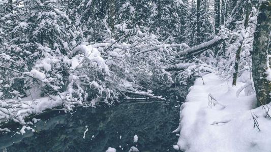 雪景图片 _ 第(2)张