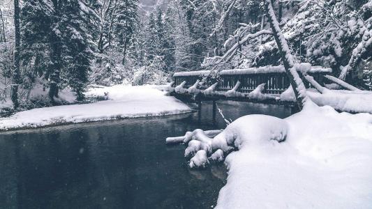 雪景图片 _ 第(3)张