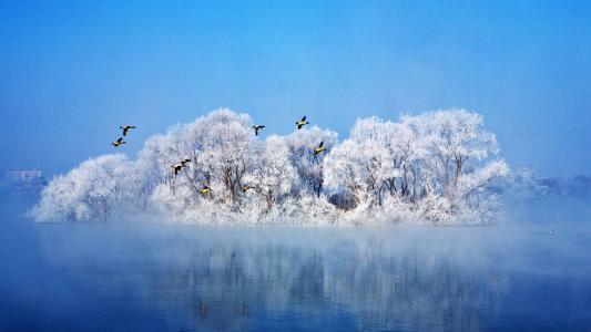 雪景图片 _ 第(1)张