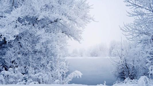 雪景图片 _ 第(5)张