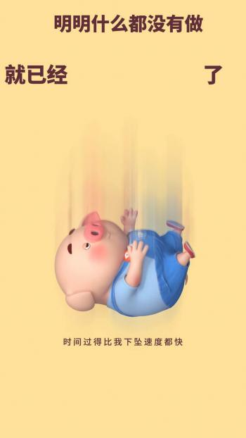 猪图片图片 _ 第(9)张