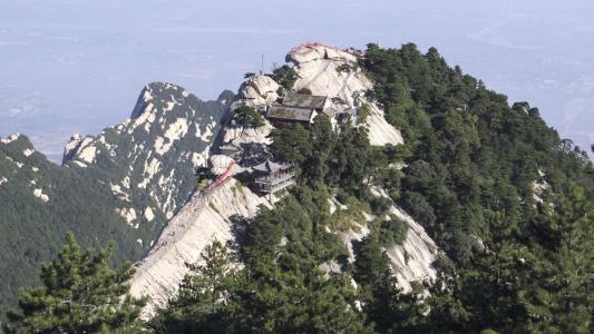 第3张