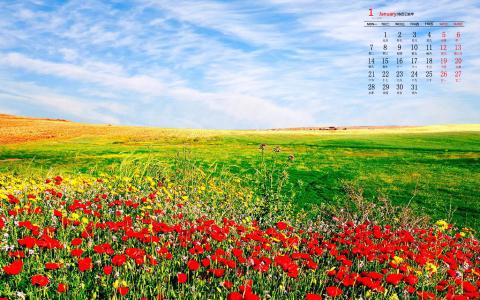 唯美风景图图片 _ 第(6)张