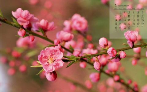 图片 _ 第(3)张