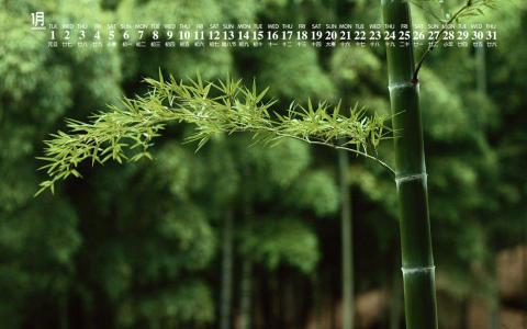 图片 _ 第(2)张