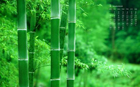图片 _ 第(4)张