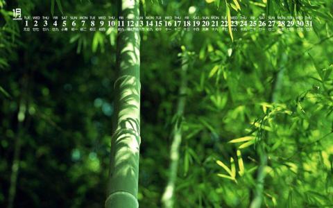 图片 _ 第(5)张