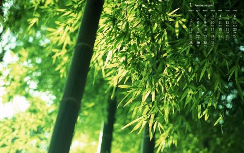 图片 _ 第(8)张