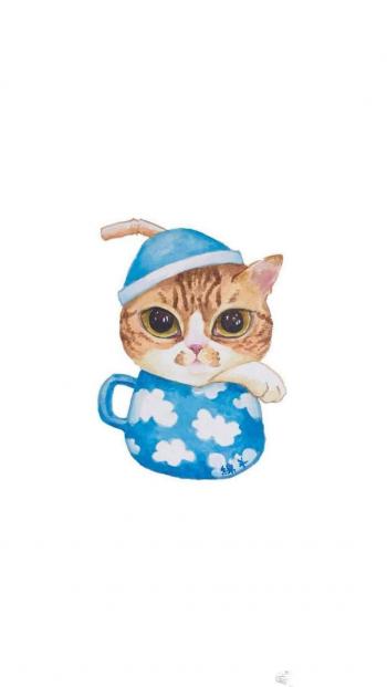 超可爱小猫图片高清手机壁纸第1张