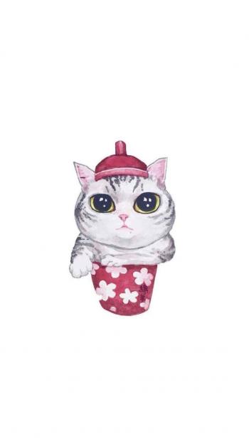 超可爱小猫图片高清手机壁纸第3张