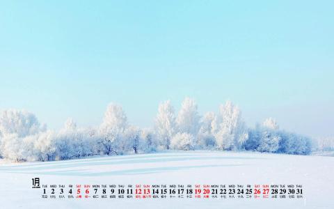 雪景图片 _ 第(1)张