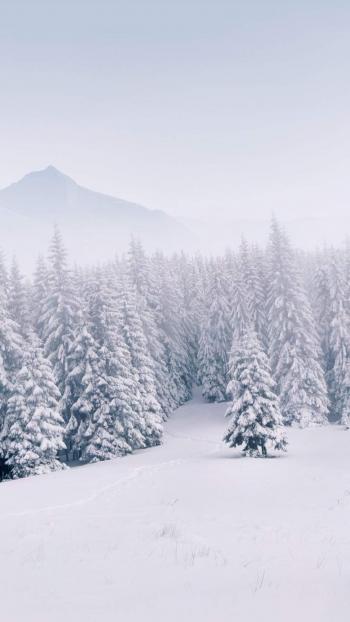 雪景图片 _ 第(1)张