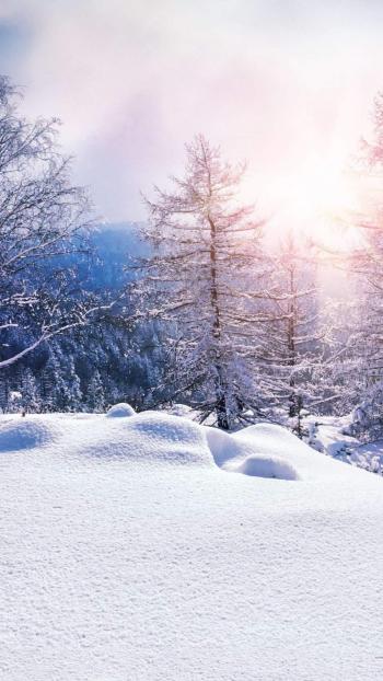 雪景图片 _ 第(6)张