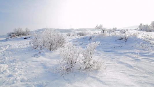 雪景图片 _ 第(3)张