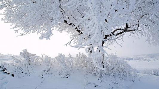 雪景图片 _ 第(4)张