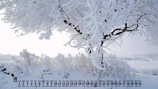 雪景图片 _ 第(4)张