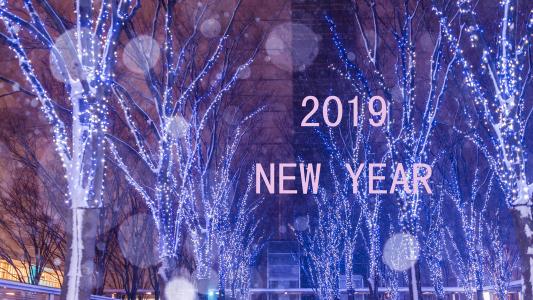 2019年猪年快乐创意桌面壁纸第4张