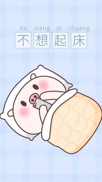 第2张