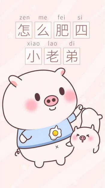 第3张