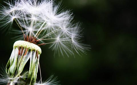 图片 _ 第(6)张