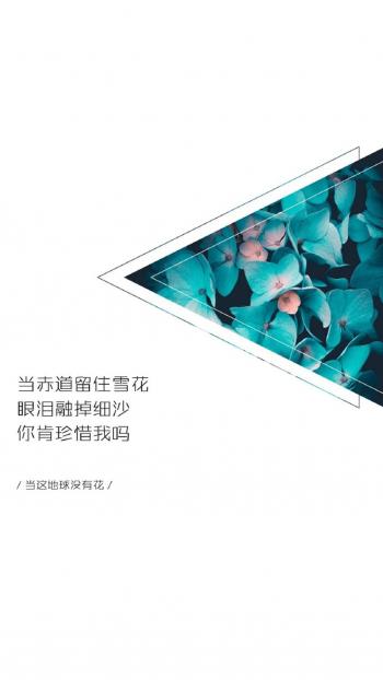 第0张