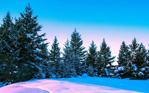 冬日雪景图片 _ 第(3)张