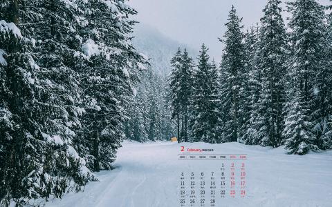 雪景图片 _ 第(2)张