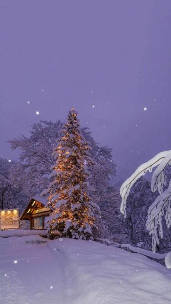 梦幻唯美冬日雪景图片手机壁纸第3张