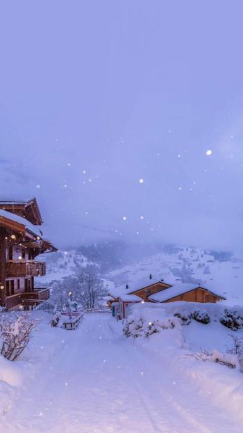梦幻唯美冬日雪景图片手机壁纸第4张
