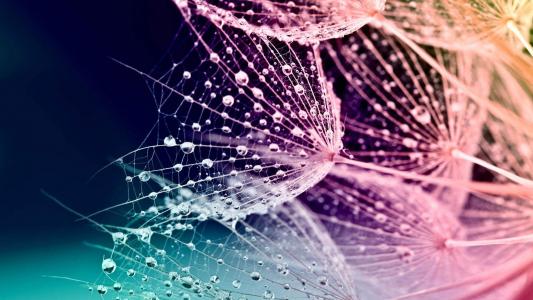 创意桌面第2张