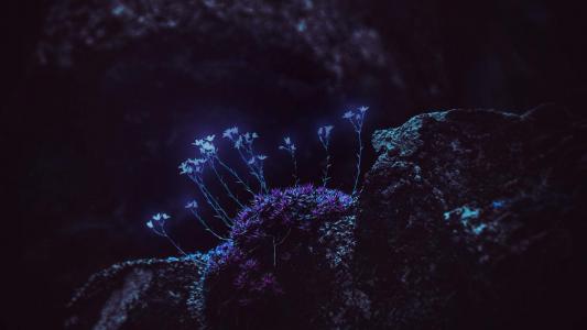 创意桌面第4张