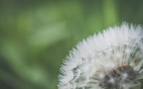 电脑壁纸大全图片 _ 第(5)张