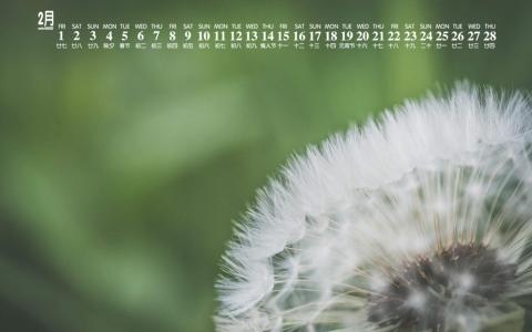 图片 _ 第(5)张