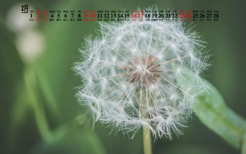 图片 _ 第(6)张