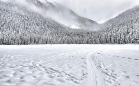 冬日雪景图片 _ 第(5)张
