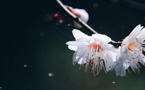 图片 _ 第(3)张
