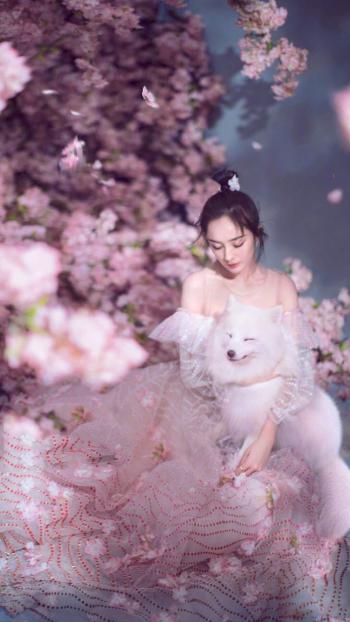 图片 _ 第(4)张